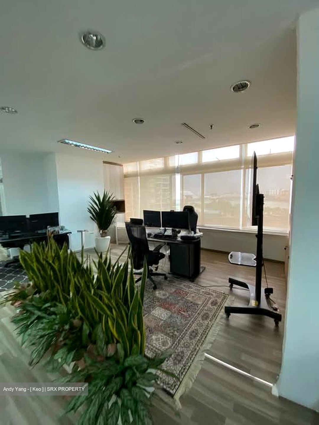 The Plaza (D7), Office #572072161